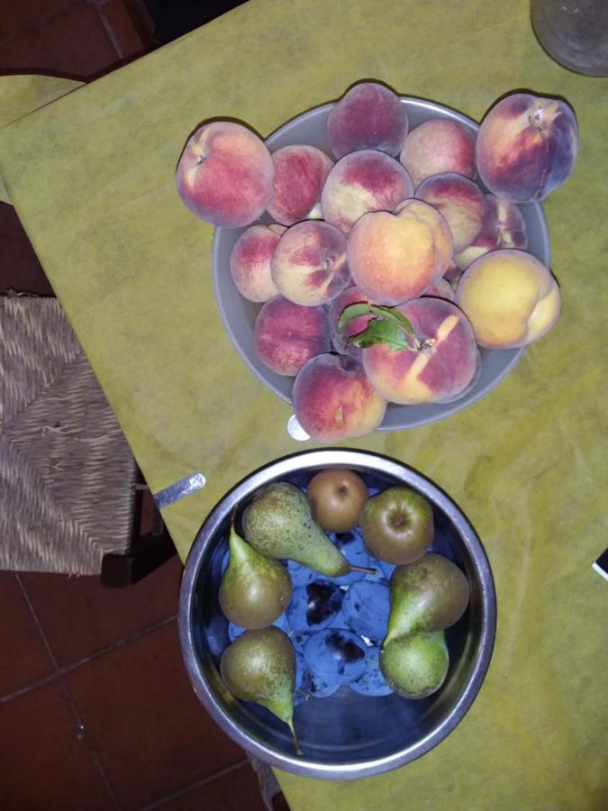 Podere Il Sorriso Degli Angeli Pistoia Eksteriør billede